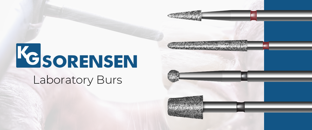 KG Sorensen Lab Burs