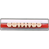 POSTERIOR ACRYLIC TEETH