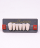 WIEDENT ESTETIC LOWER ANTERIORS SHADE OM3