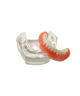 LOCATOR REMOVABLE PATIENT EDUCATION SUITE (2 MODELS)