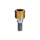 BIO-HORIZON INTERNAL 3 INTERNAL LASER LOCK x 2 mm
