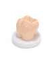 K2 EXACT BEIGE CARVING WAX 60 g