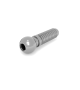 TITANIUM BALL SCREW 2.2 mm
