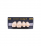 NEO LIGN P TOOTH POST 1G3 UPPER A1 4 pc ASST 14, 15, 16, 17
