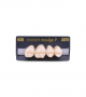 NEO LIGN P TOOTH POST 1G3 UPPER A1 4 pc