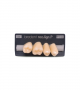 NEO LIGN P TOOTH POST 1G3 UPPER A3 4 pc ASST 14, 15, 16, 17