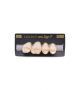 NEO LIGN P TOOTH POST 1G3 UPPER B1 4 pc
