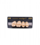 NEO LIGN P TOOTH POST 1G3 UPPER B3 4 pc ASST 14, 15, 16, 17