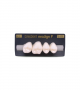 NEO LIGN P TOOTH POST 1G3 UPPER BL3 4 pc ASST 14, 15, 16, 17