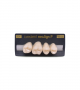 NEO LIGN P TOOTH POST 1G3 UPPER C1 4 pc