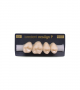 NEO LIGN P TOOTH POST 1G3 UPPER C3 4 pc