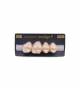NEO LIGN P TOOTH POST 1G3 UPPER D3 4 pc
