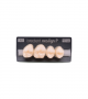 NEO LIGN P TOOTH POST 1G4 UPPER A1 4 pc