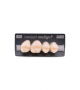 NEO LIGN P TOOTH POST 1G4 UPPER A1 4 pc ASST 14, 15, 16, 17
