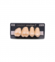 NEO LIGN P TOOTH POST 1G4 UPPER A3 4 pc ASST 14, 15, 16, 17