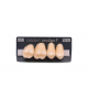 NEO LIGN P TOOTH POST 1G4 UPPER A3 4 pc