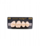 NEO LIGN P TOOTH POST 1G4 UPPER B1 4 pc