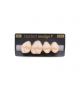 NEO LIGN P TOOTH POST 1G4 UPPER B1 4 pc ASST 14, 15, 16, 17