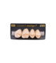 NEO LIGN P TOOTH POST 1G4 UPPER B2 4 pc