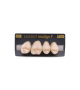 NEO LIGN P TOOTH POST 1G4 UPPER C1 4 pc