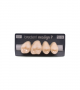 NEO LIGN P TOOTH POST 1G4 UPPER C2 4 pc