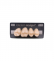 NEO LIGN P TOOTH POST 1G4 UPPER C2 4 pc ASST 14, 15, 16, 17