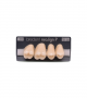 NEO LIGN P TOOTH POST 1G4 UPPER D3 4 pc