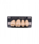 NEO LIGN P TOOTH POST 1G4 UPPER D3 4 pc ASST 14, 15, 16, 17
