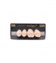 NEO LIGN P TOOTH POST 2G3 UPPER A1 4 pc