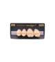 NEO LIGN P TOOTH POST 2G3 UPPER A2 4 pc ASST 24, 25, 26, 27