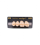 NEO LIGN P TOOTH POST 2G3 UPPER A2 4 pc