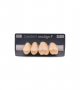 NEO LIGN P TOOTH POST 2G3 UPPER A3 4 pc ASST 24, 25, 26, 27