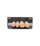 NEO LIGN P TOOTH POST 2G3 UPPER A3.5 4 pc ASST 24, 25, 26, 27