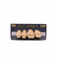 NEO LIGN P TOOTH POST 2G3 UPPER A4 4 pc