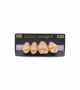 NEO LIGN P TOOTH POST 2G3 UPPER A4 4 pc ASST 24, 25, 26, 27