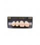 NEO LIGN P TOOTH POST 2G3 UPPER B1 4 pc