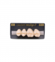 NEO LIGN P TOOTH POST 2G3 UPPER B1 4 pc ASST 24, 25, 26, 27