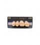 NEO LIGN P TOOTH POST 2G3 UPPER B3 4 pc ASST 24, 25, 26, 27