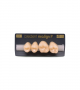 NEO LIGN P TOOTH POST 2G3 UPPER B3 4 pc