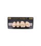 NEO LIGN P TOOTH POST 2G3 UPPER C1 4 pc ASST 24, 25, 26, 27