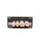 NEO LIGN P TOOTH POST 2G3 UPPER C1 4 pc