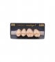 NEO LIGN P TOOTH POST 2G3 UPPER C2 4 pc