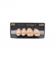 NEO LIGN P TOOTH POST 2G3 UPPER C2 4 pc ASST 24, 25, 26, 27
