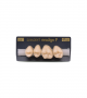NEO LIGN P TOOTH POST 2G3 UPPER C3 4 pc