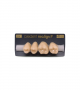NEO LIGN P TOOTH POST 2G3 UPPER C4 4 pc