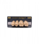 NEO LIGN P TOOTH POST 2G3 UPPER C4 4 pc ASST 24, 25, 26, 27