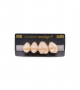 NEO LIGN P TOOTH POST 2G3 UPPER D2 4 pc