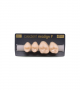 NEO LIGN P TOOTH POST 2G3 UPPER D3 4 pc ASST 24, 25, 26, 27