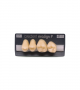 NEO LIGN P TOOTH POST 2G3 UPPER D4 4 pc