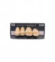 NEO LIGN P TOOTH POST 2G3 UPPER D4 4 pc ASST 24, 25, 26, 27